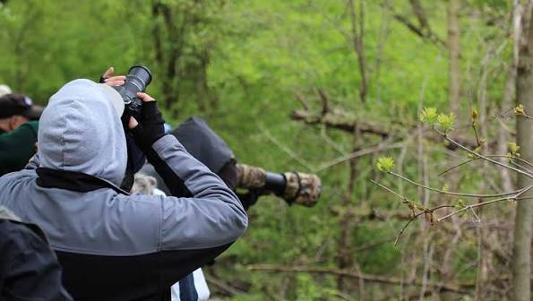 bird-watching